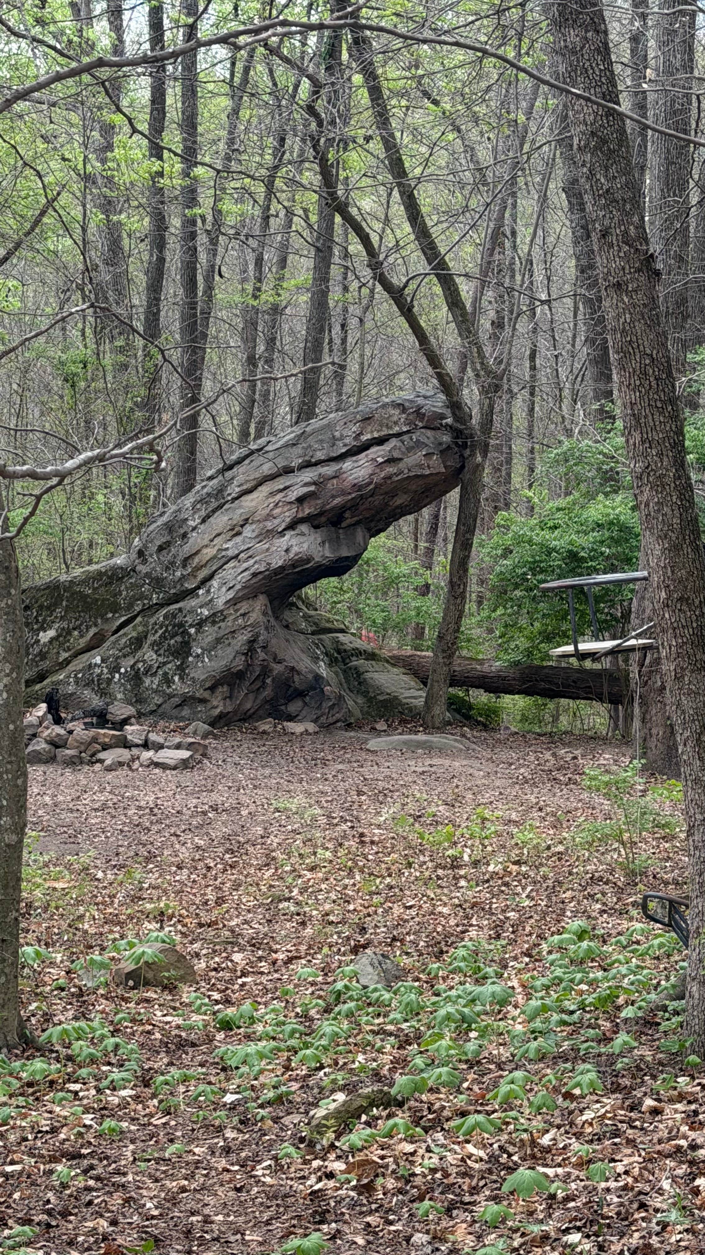 Camper-submitted photo at Tennessee Wall Camp near Whiteside, TN
