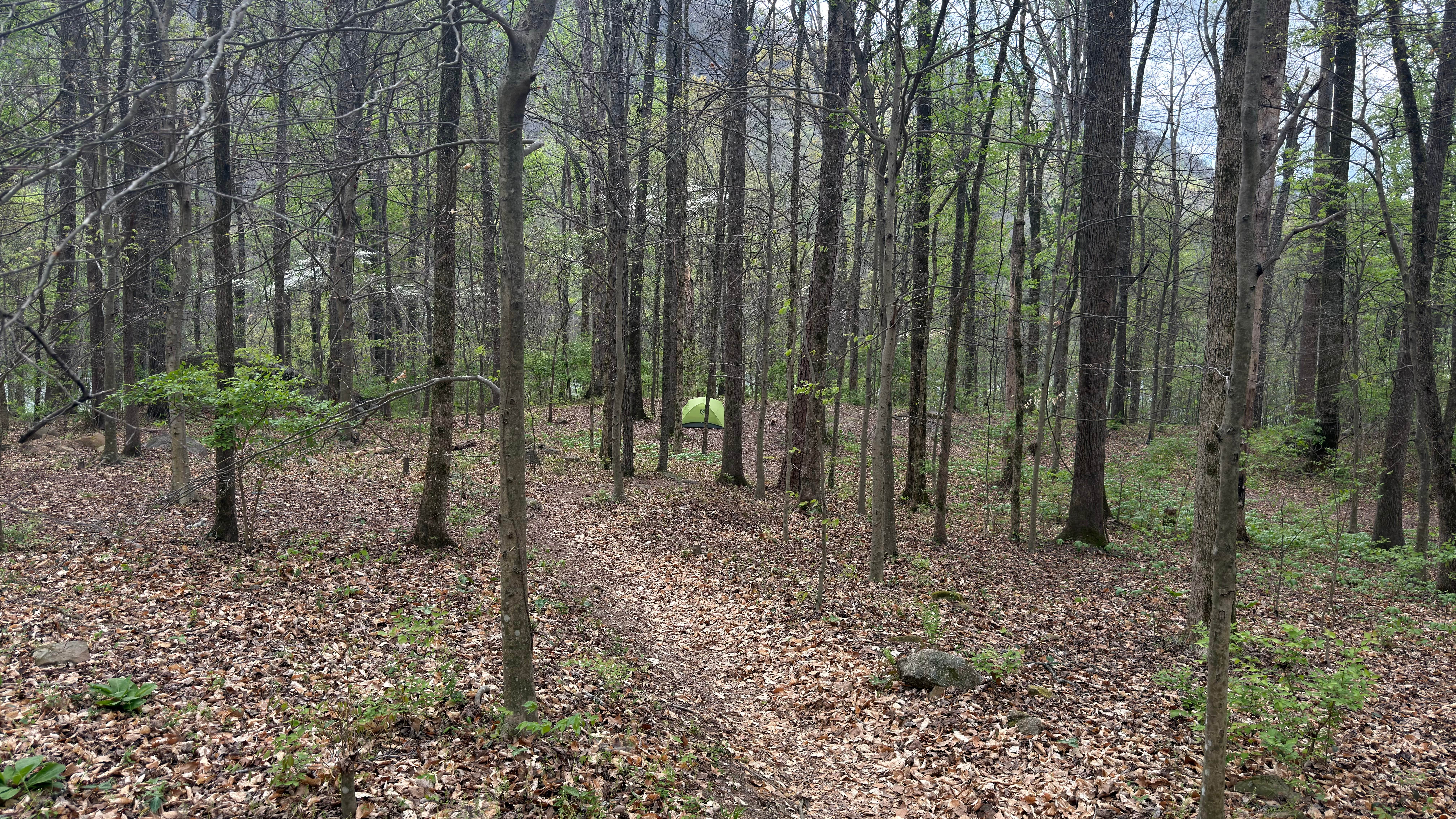 Camper-submitted photo at Tennessee Wall Camp near Whiteside, TN