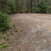 Review photo of Tennessee Wall Camp by Sterling G., March 31, 2026