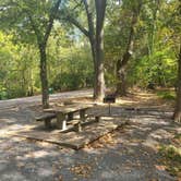 Review photo of Warriors' Path State Park Main Campground — Warriors' Path State Park by Karen , October 11, 2023