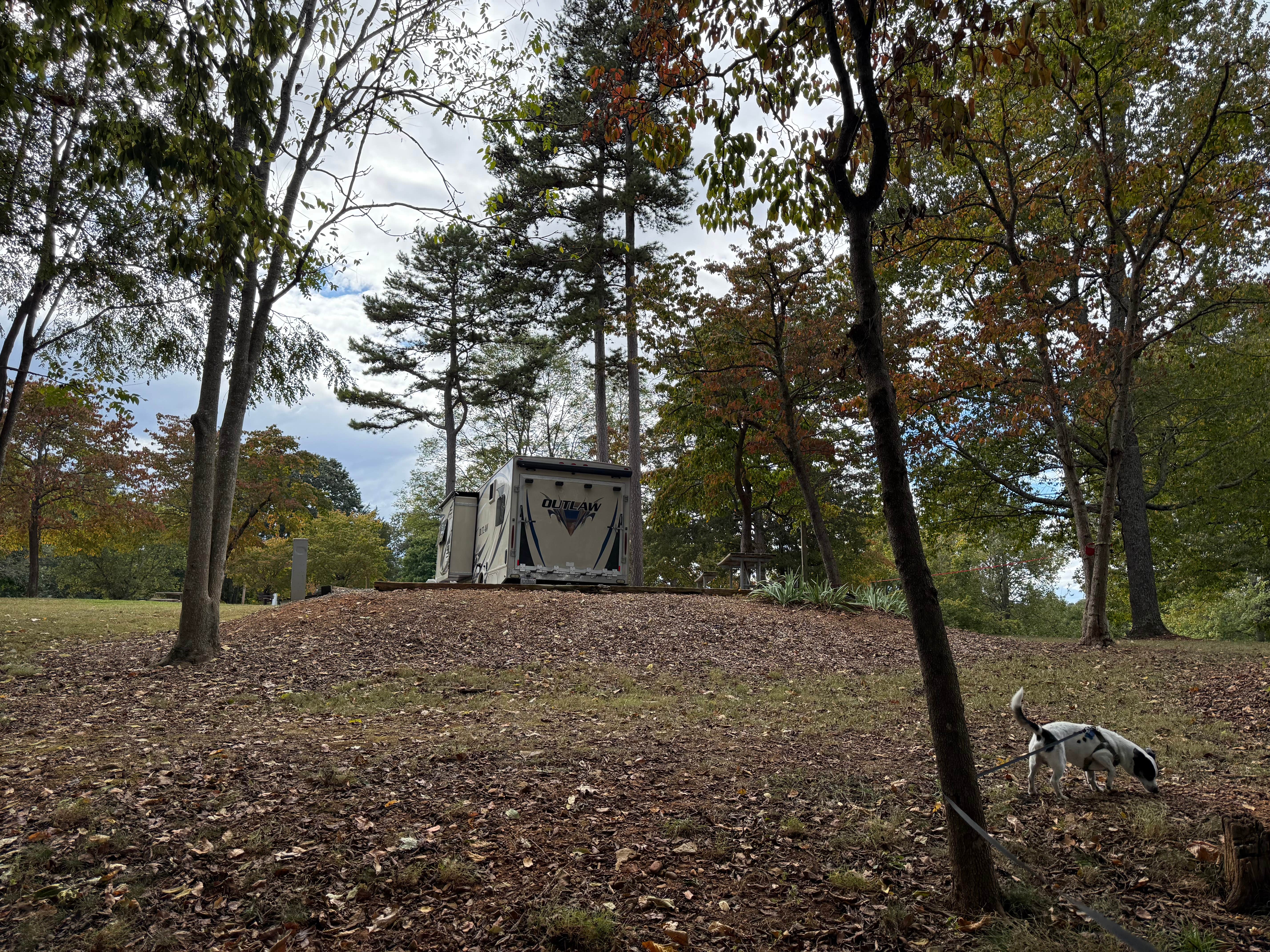 Shawn's photo of camping with pets at Yarberry Campground near Maryville, TN