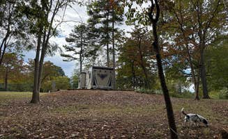 Shawn's photo of camping with pets at Yarberry Campground near Knoxville, TN
