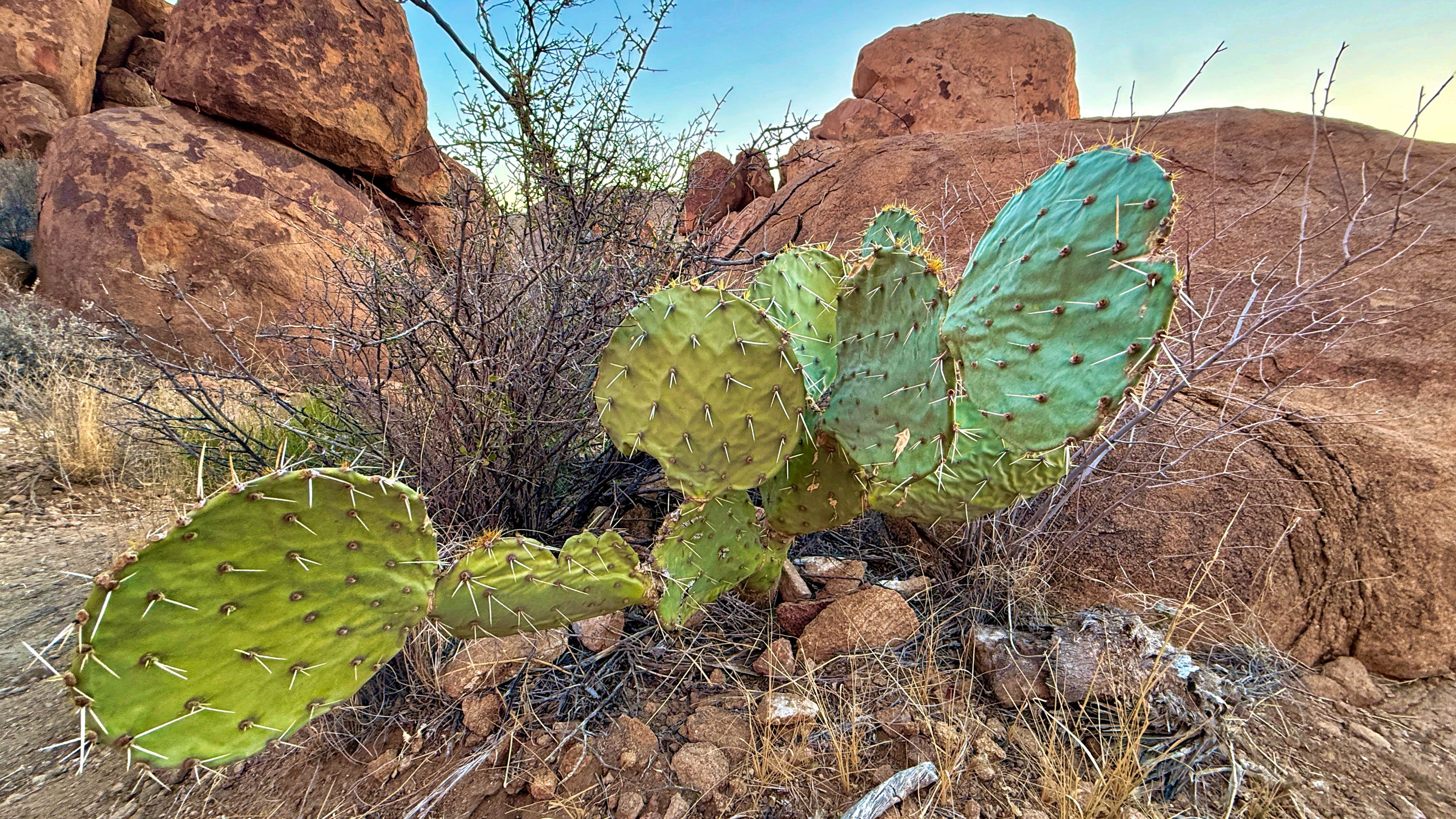 Camper-submitted photo at Terlingua Ghost Town RV near Terlingua, TX