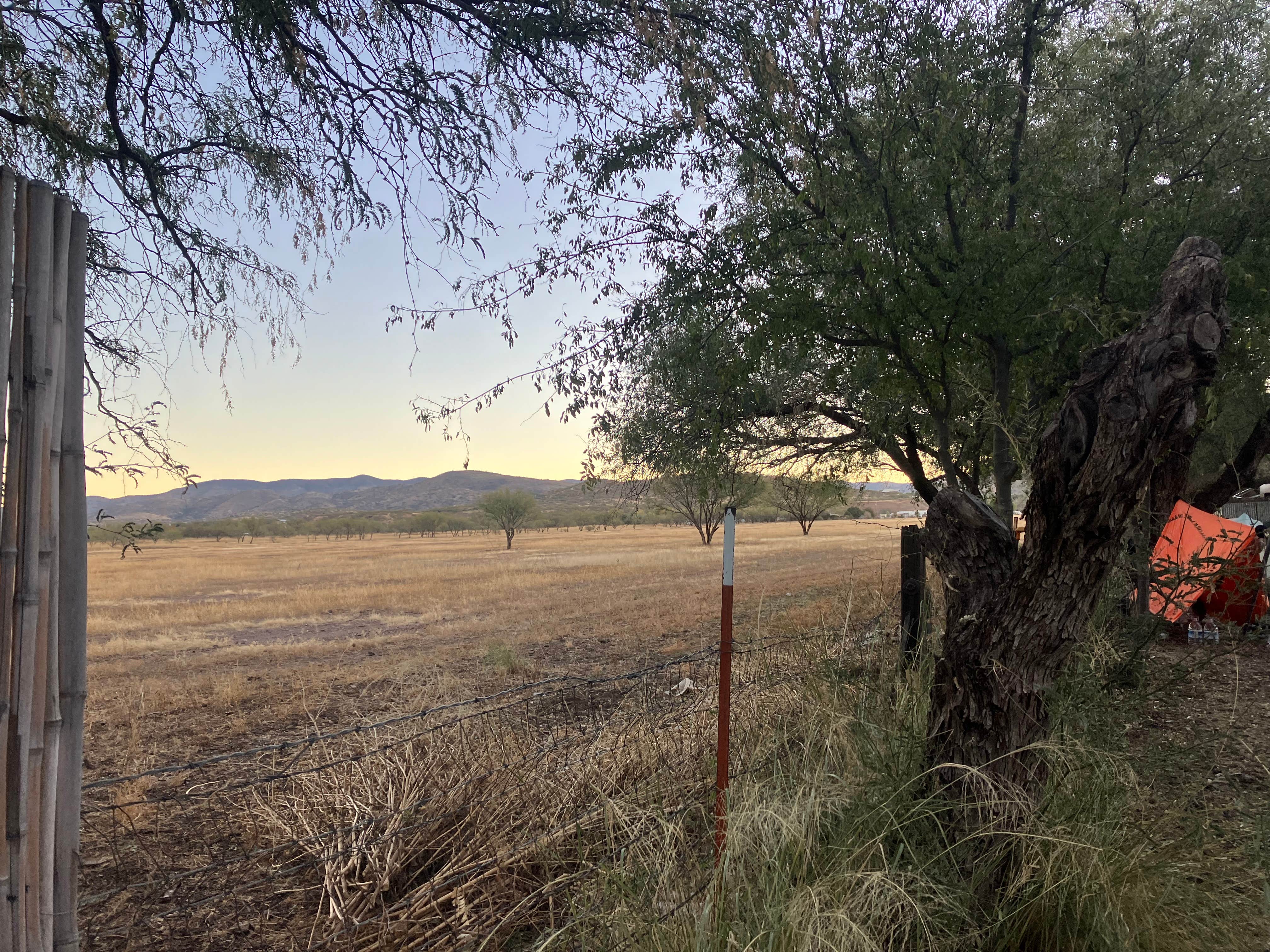 Camper submitted image from TerraSol in Patagonia, Arizona - 4