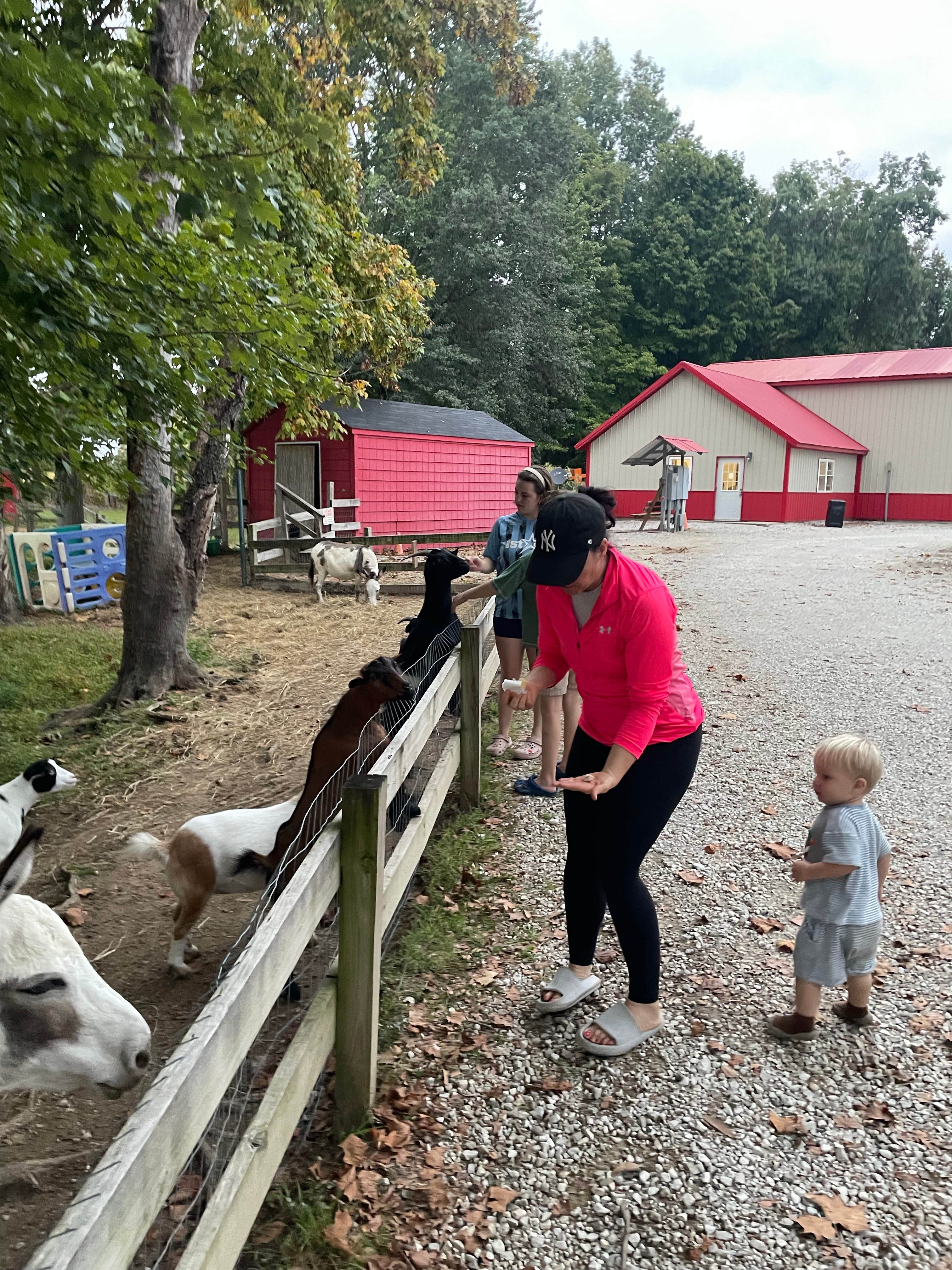 Greta H.'s photo of camping with pets at Terre Haute Campground near Reelsville, IN