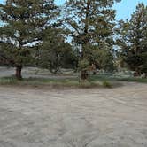 Review photo of Terrebonne East Camp Dispersed by Jules S., May 25, 2025
