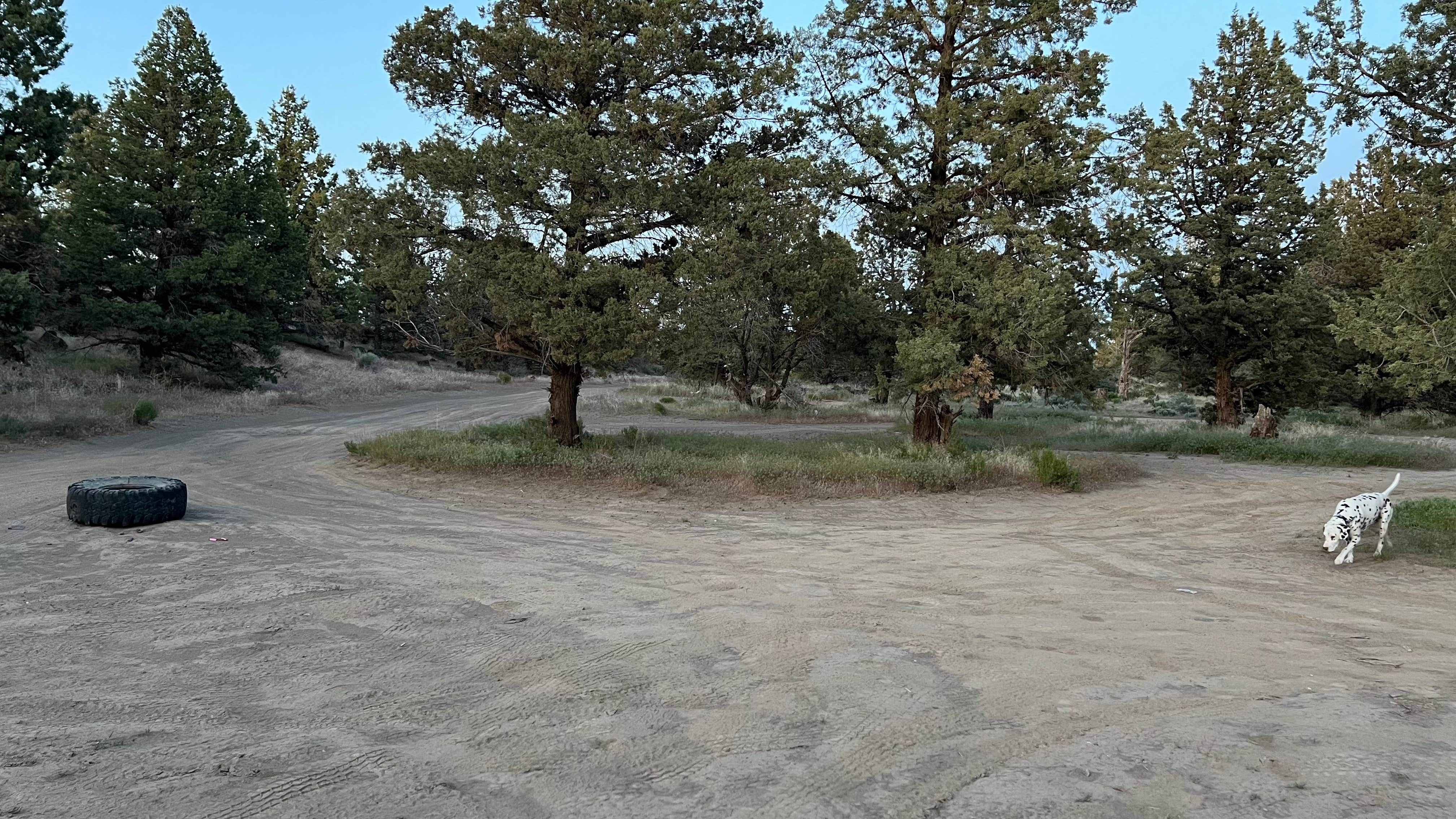 Camper submitted image from Terrebonne East Camp Dispersed - 3