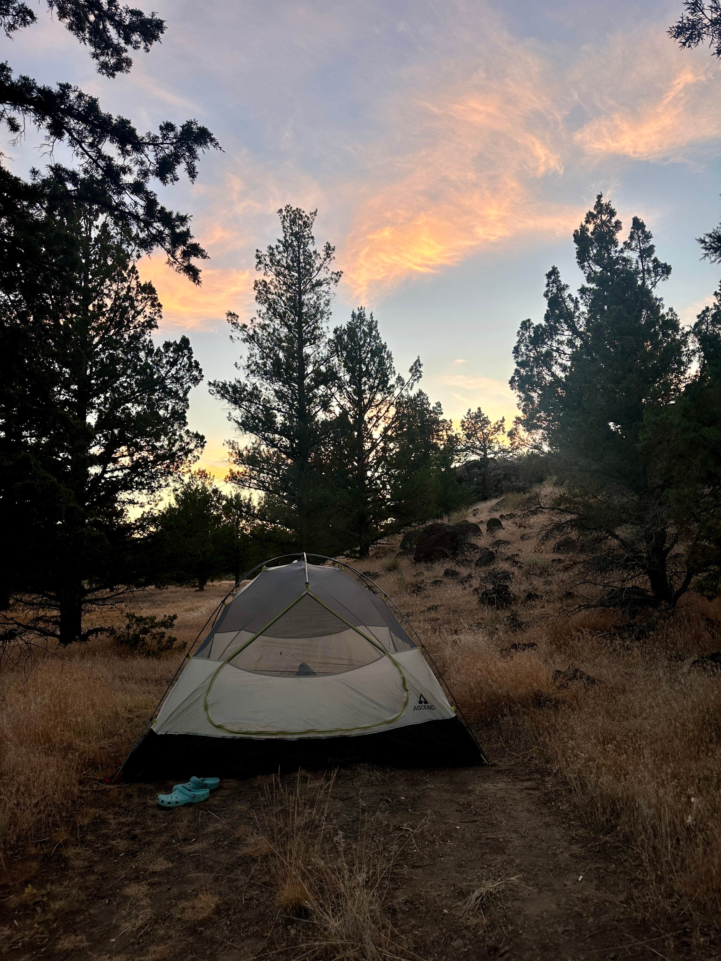 Camping near Steelhead Falls Trailhead & Campground: Terrebonne East Camp Dispersed, Terrebonne, Oregon