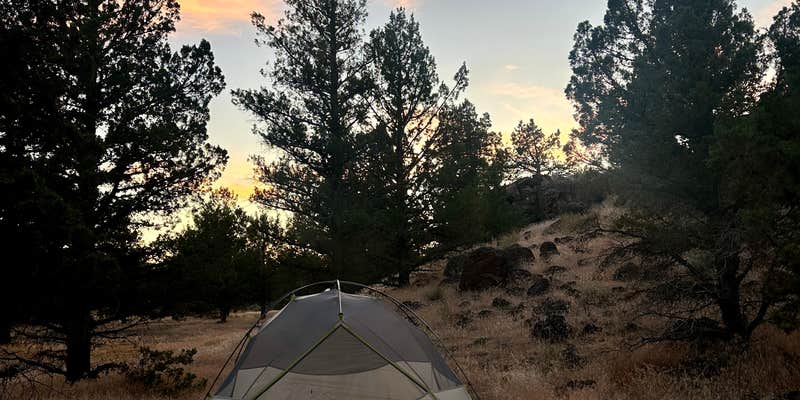 Camper submitted image from Terrebonne East Camp Dispersed