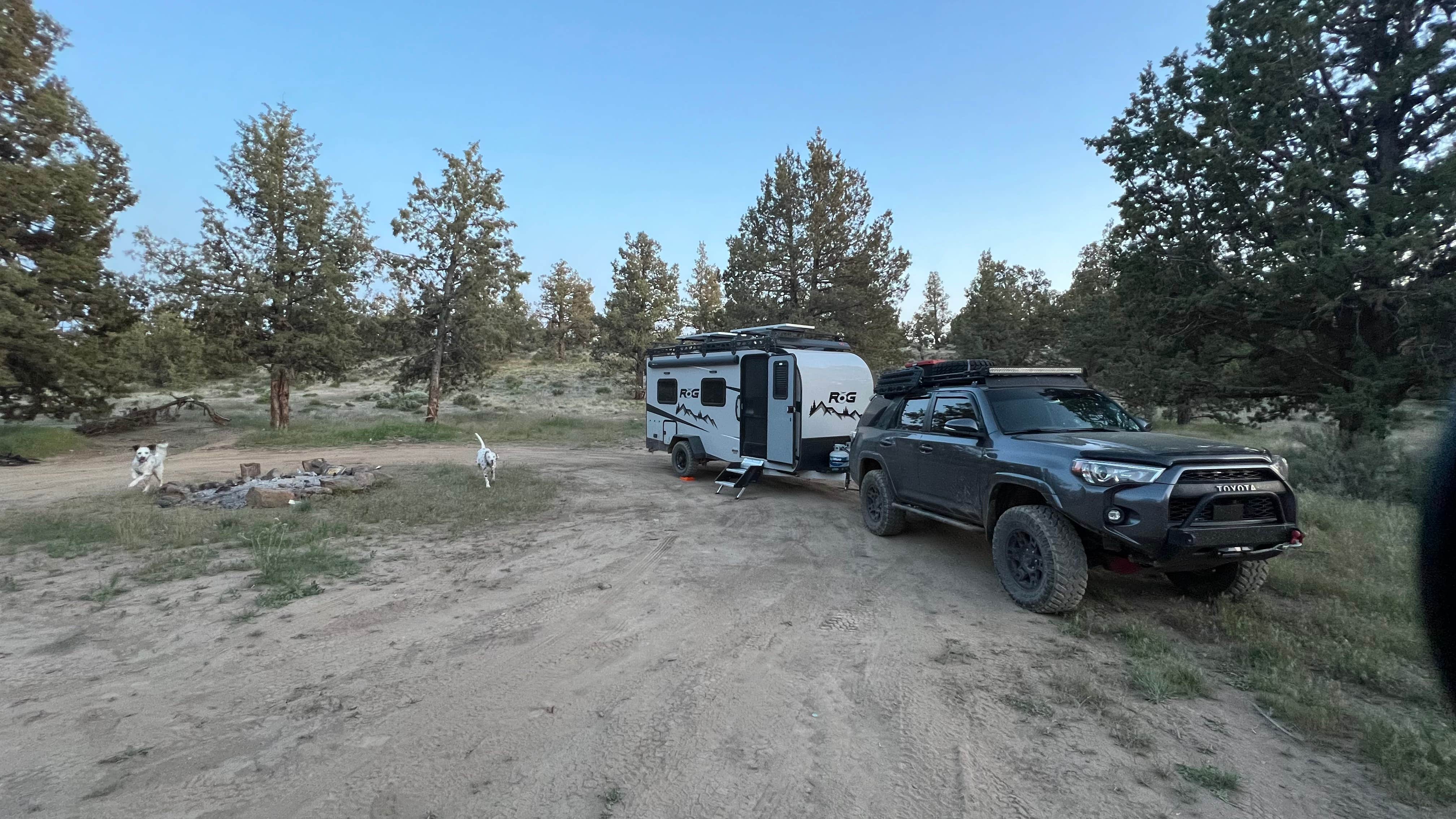 Camper submitted image from Terrebonne East Camp Dispersed - 4