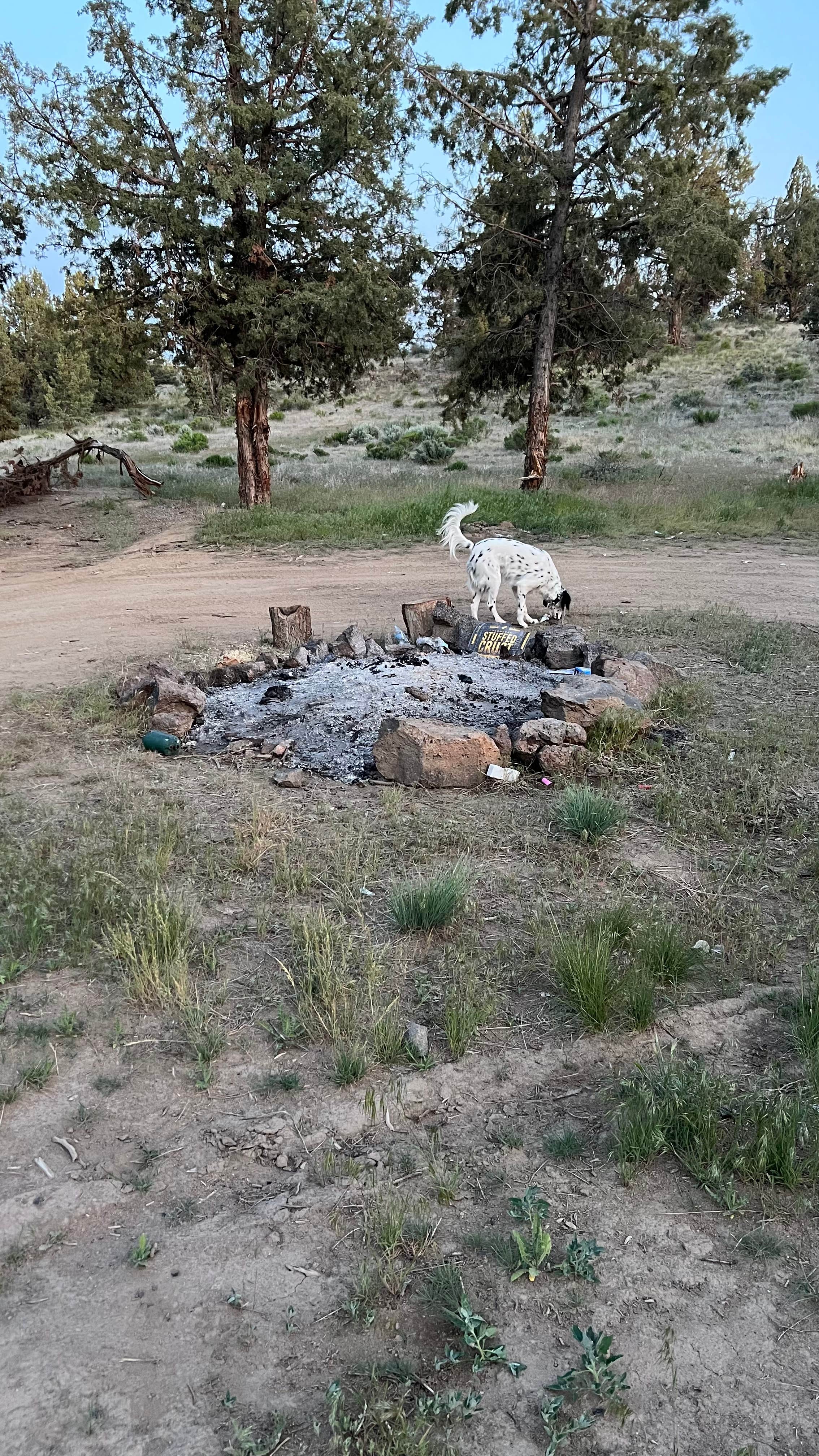 Camper submitted image from Terrebonne East Camp Dispersed - 2