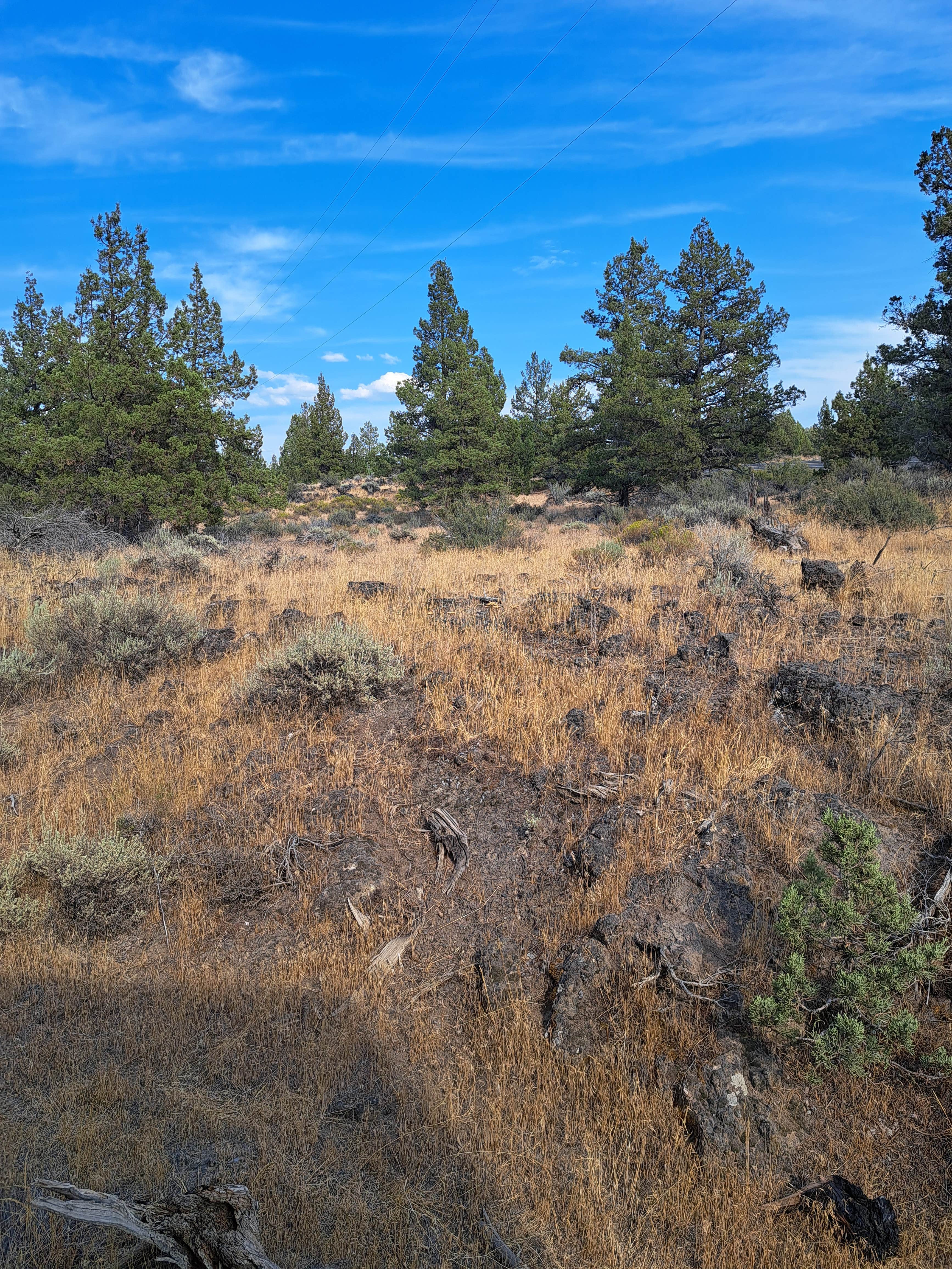 Camper-submitted photo at Terrebonne West Camp Dispersed near Culver, OR