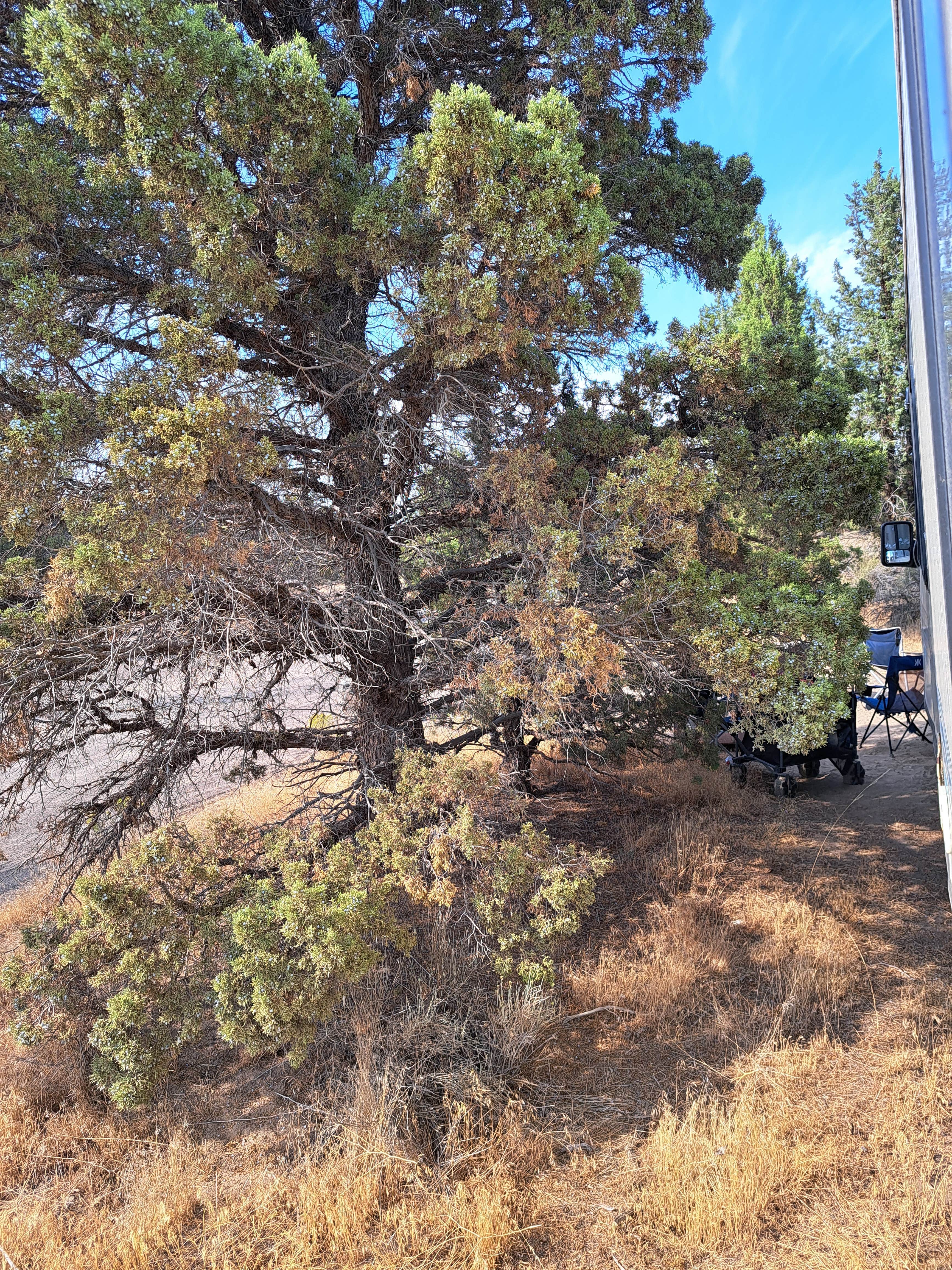 Camper-submitted photo at Terrebonne West Camp Dispersed near Culver, OR