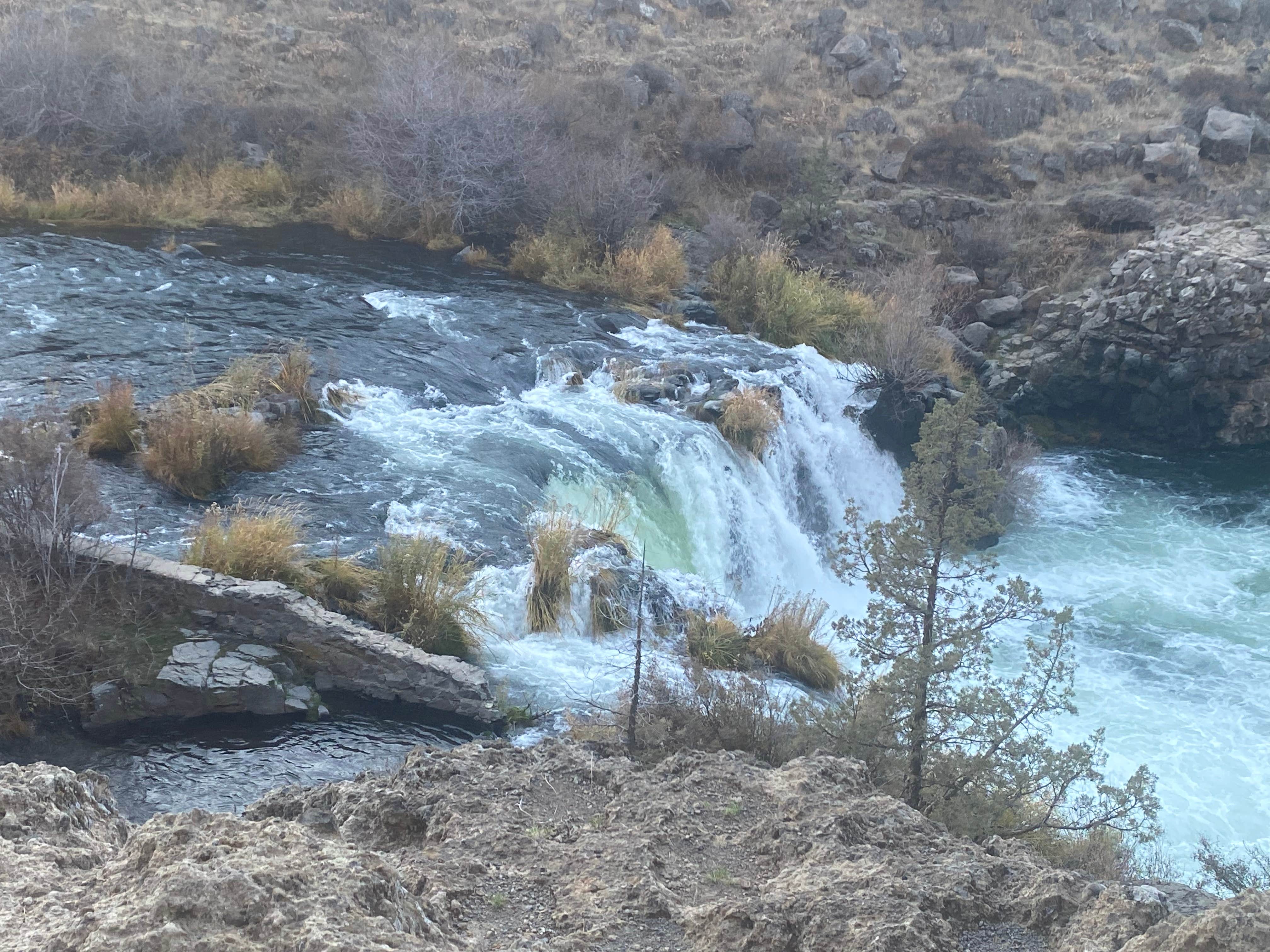 Camper-submitted photo at Terrebonne West Camp Dispersed near Culver, OR