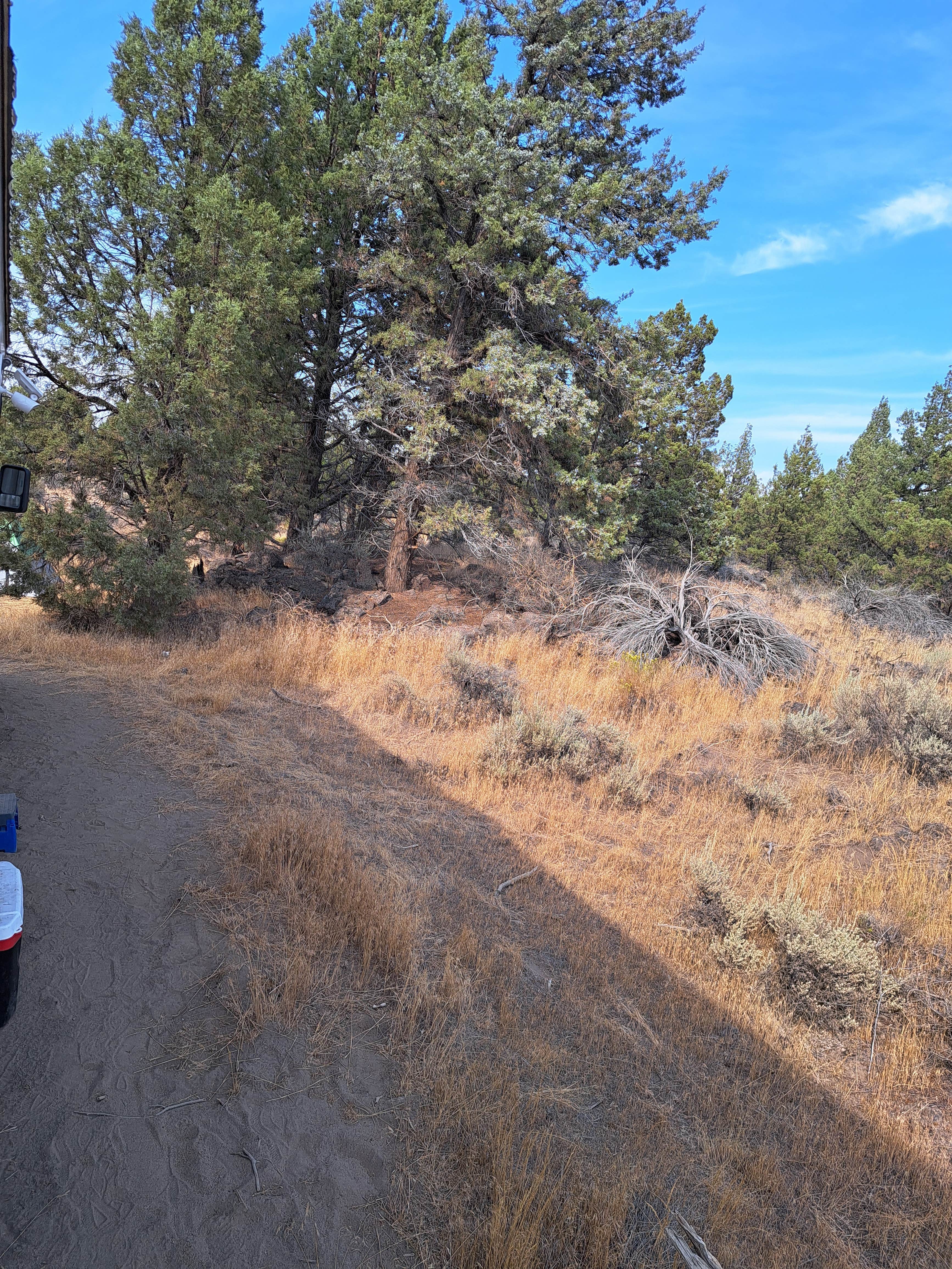 Camper-submitted photo at Terrebonne West Camp Dispersed near Culver, OR