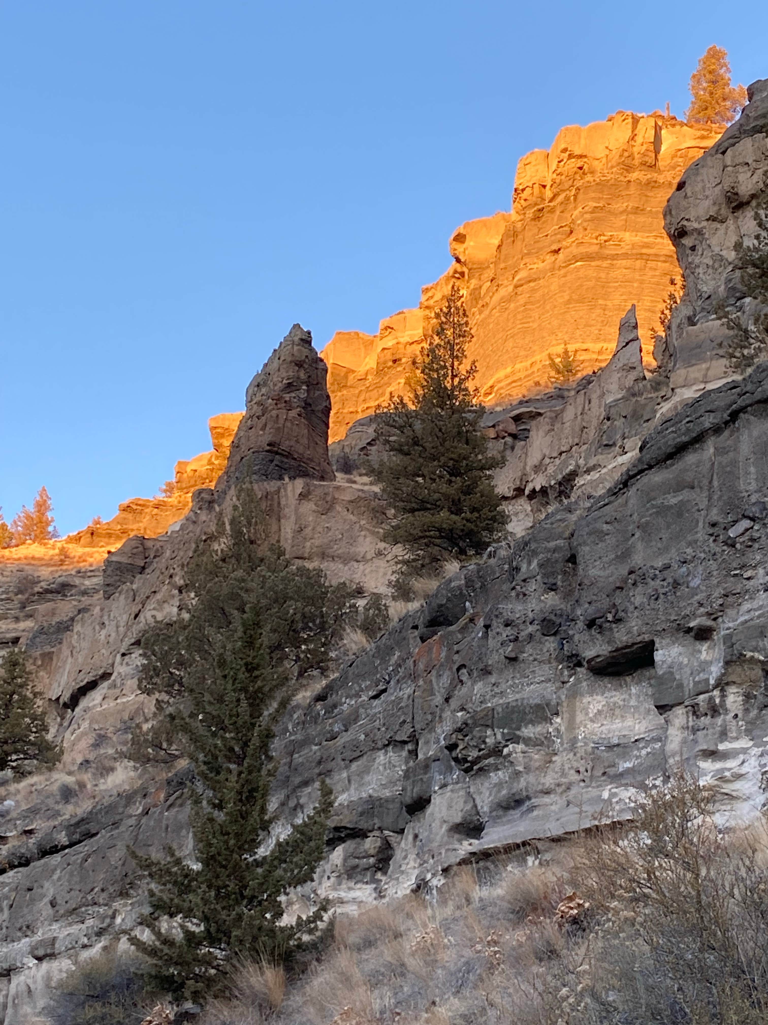 Camper-submitted photo at Terrebonne West Camp Dispersed near Culver, OR