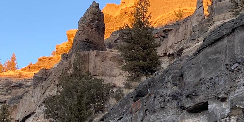 Camper submitted image from Terrebonne West Camp Dispersed