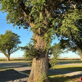 Review photo of Territory Route 66 RV Park & Campgrounds by Linnaea M., May 11, 2026