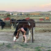 Review photo of Terry Bison Ranch by Jason J., July 5, 2026