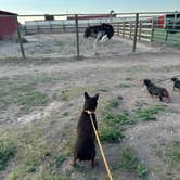 Review photo of Terry Bison Ranch by Jason J., July 5, 2026