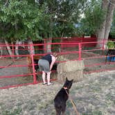 Review photo of Terry Bison Ranch by Jason J., July 5, 2026