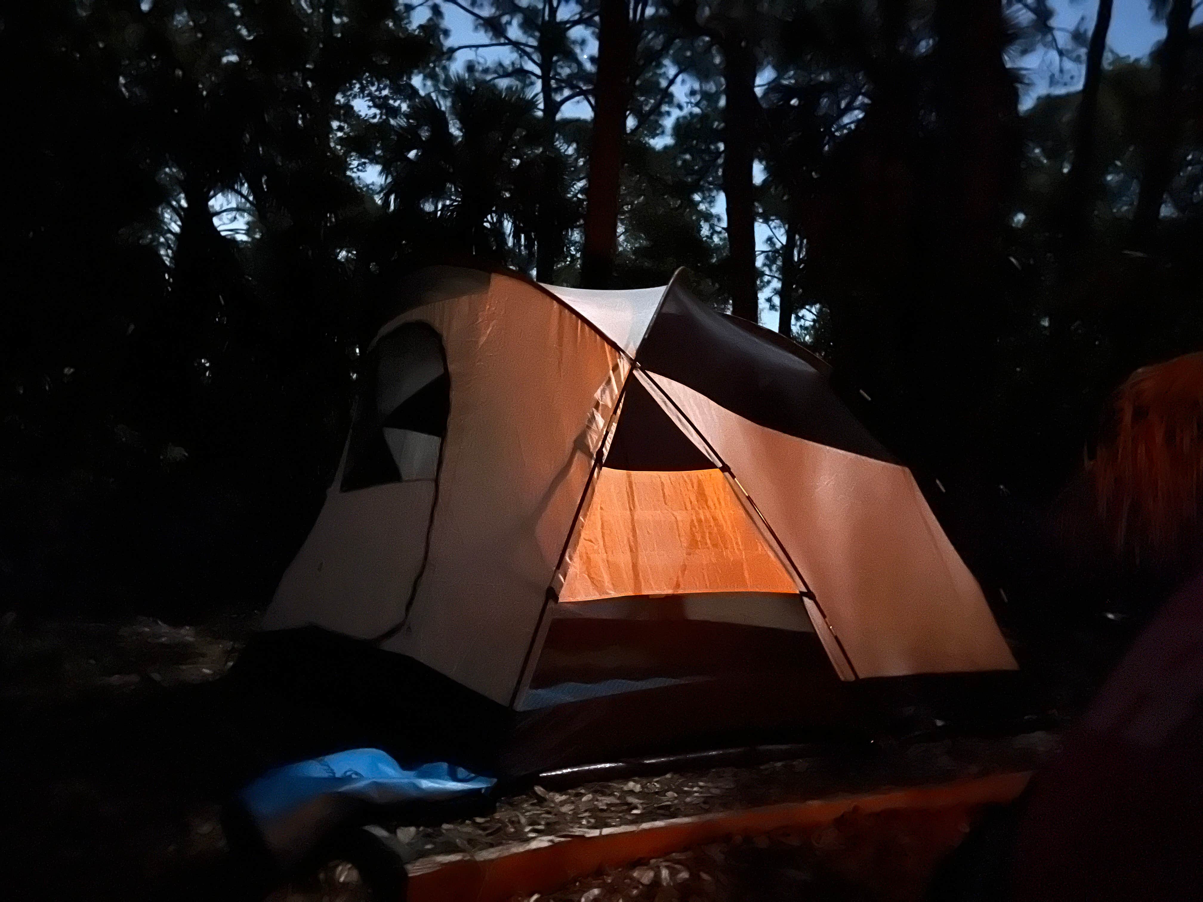 Camper-submitted photo at Terry Tomalin Campground near Gulfport, FL