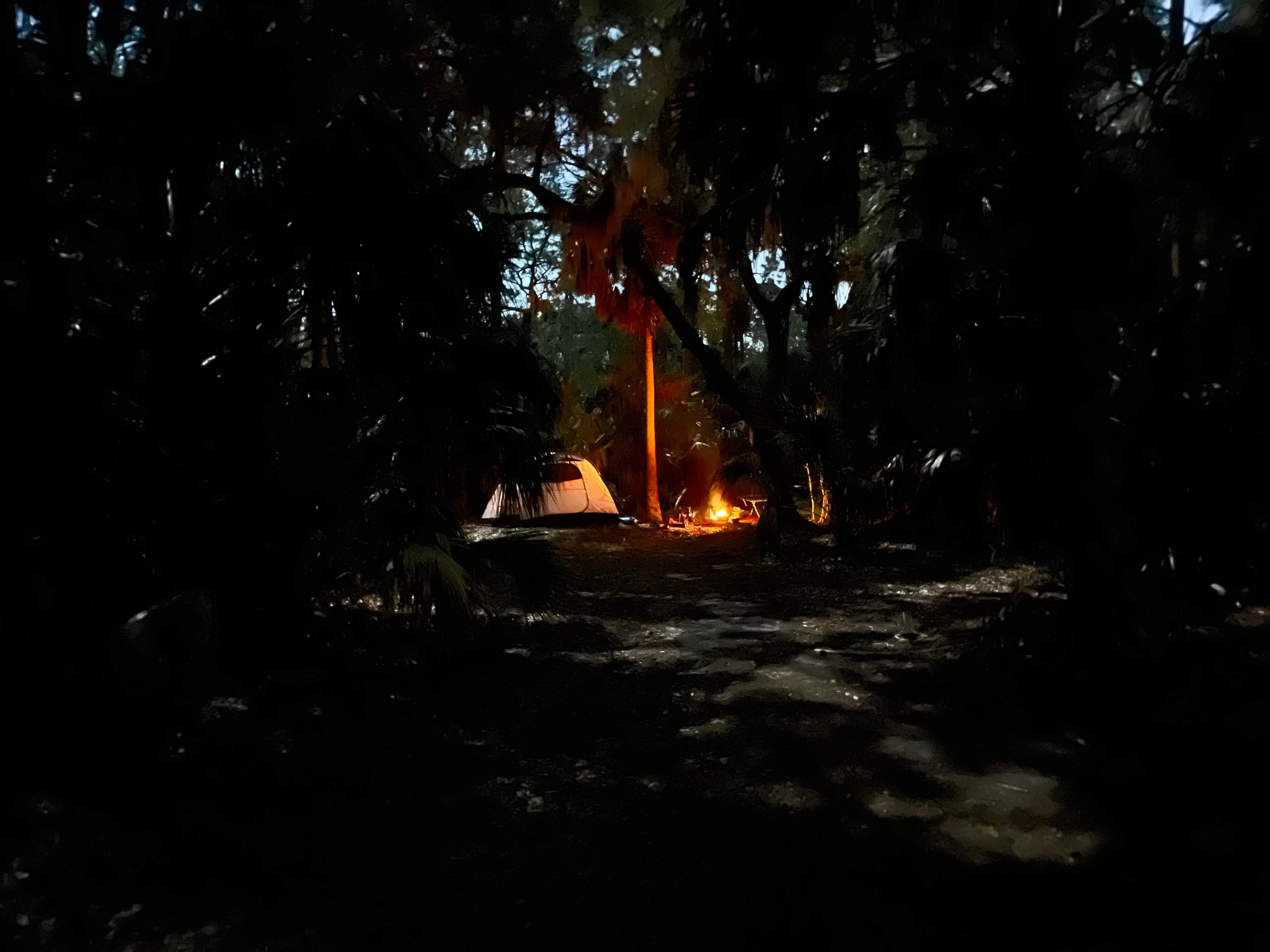 Camper-submitted photo at Terry Tomalin Campground near Gulfport, FL