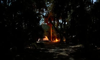 Camping near St. Petersburg-Madeira Beach KOA: Terry Tomalin Campground, Gulfport, Florida