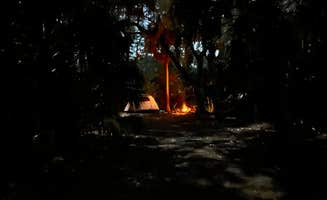 Becky M.'s photo at Terry Tomalin Campground near Oldsmar, FL