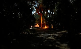 Camping near Northeast St Pete Sprinter Van or Small Camper Spot: Terry Tomalin Campground, Gulfport, Florida