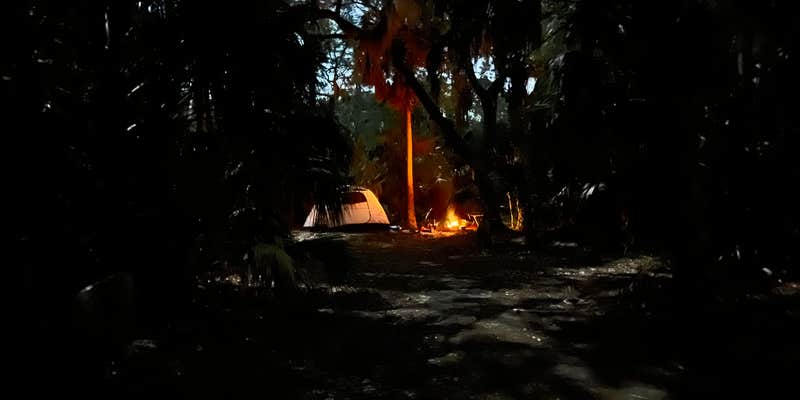 Camper submitted image from Terry Tomalin Campground