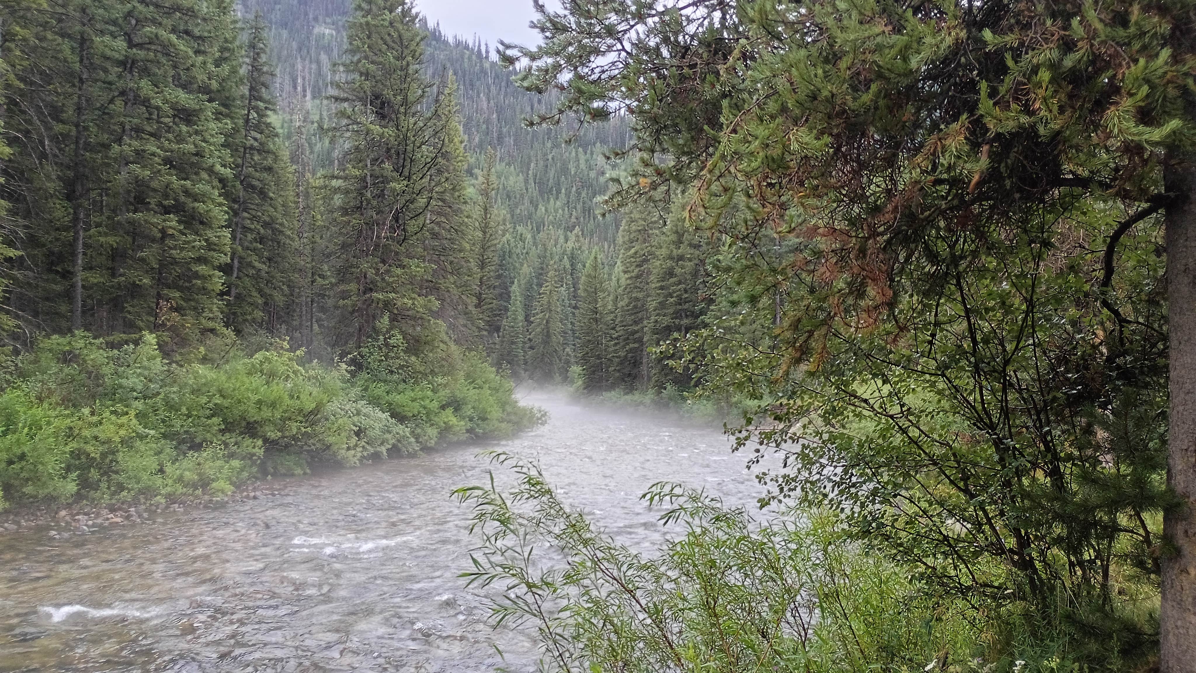 Camper-submitted photo at Teton canyon dispersed near Victor, ID