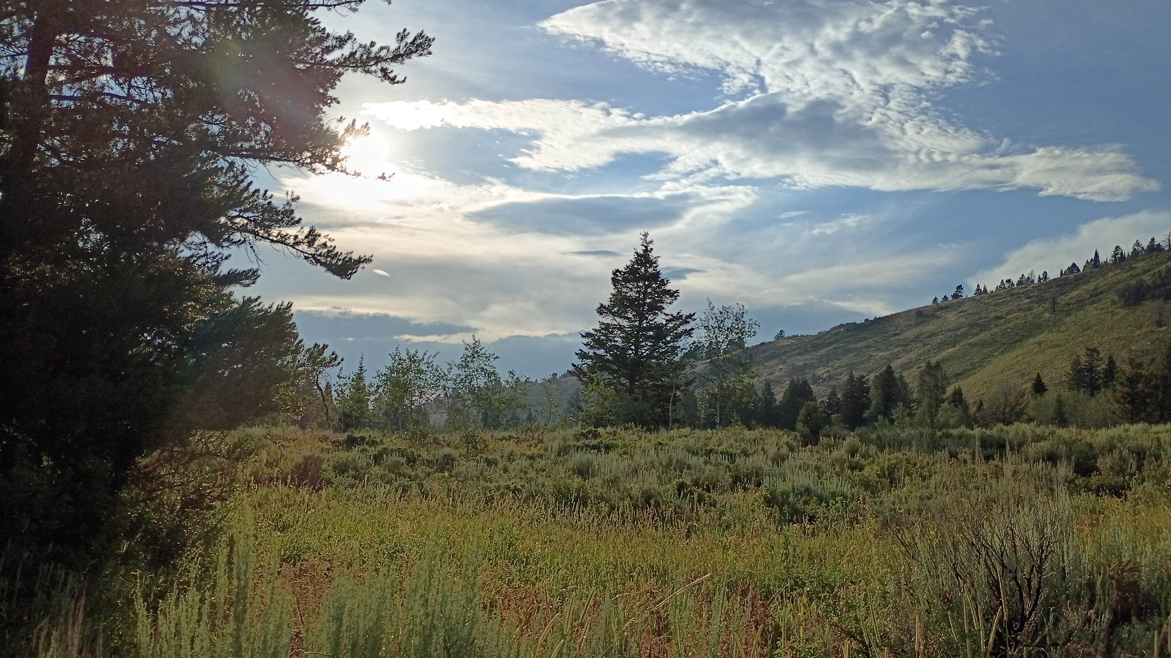 Camper-submitted photo at Teton canyon dispersed near Victor, ID