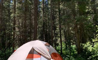 Angela C.'s photo at Teton Canyon Road Dispersed Camping near Alta, WY