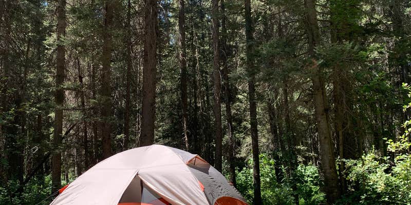 Camper submitted image from Teton Canyon Road Dispersed Camping