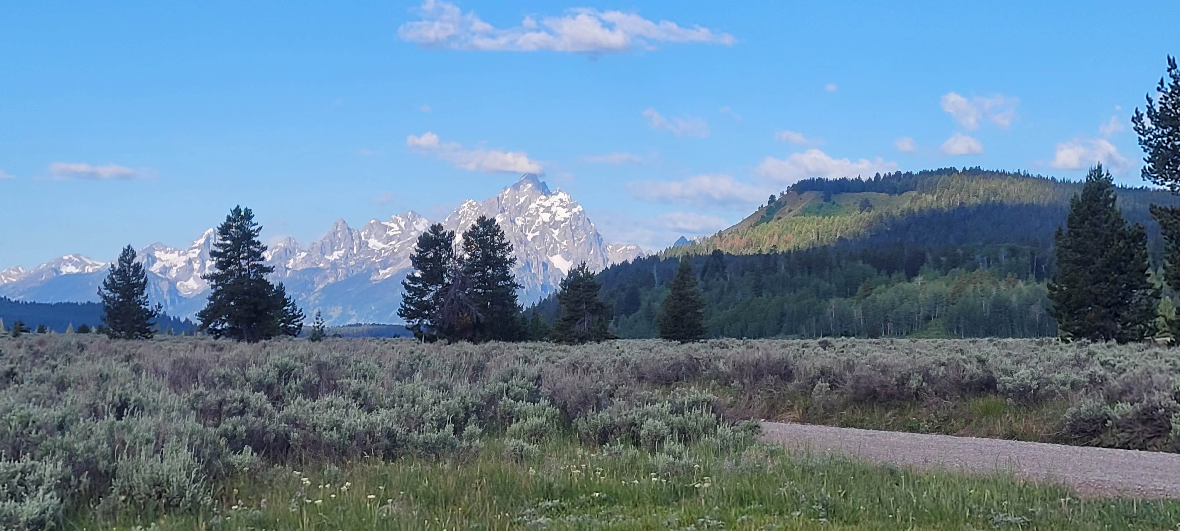 Camper submitted image from Teton Canyon Road Dispersed Camping - 1