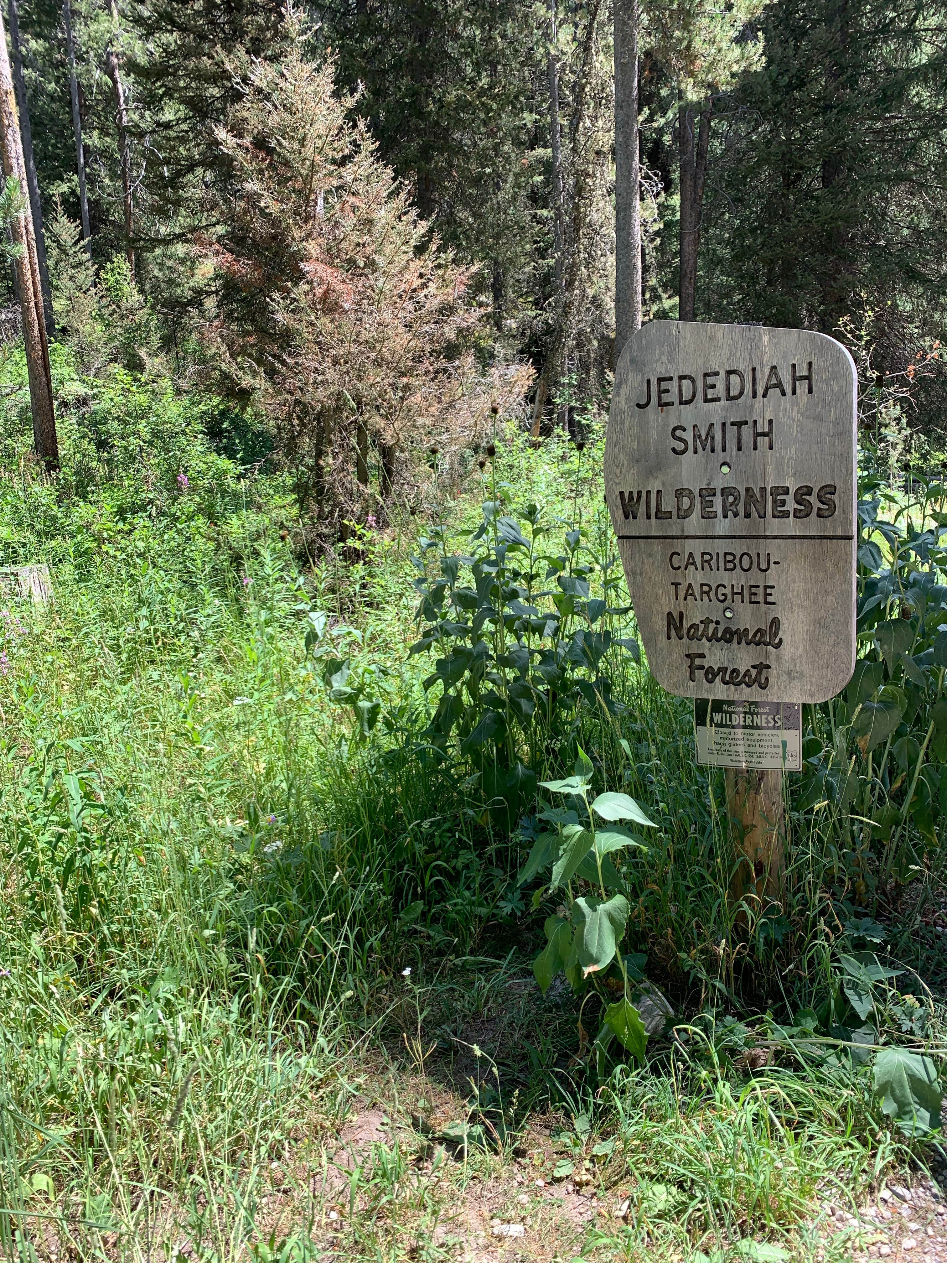 Camper submitted image from Teton Canyon Road Dispersed Camping - 2