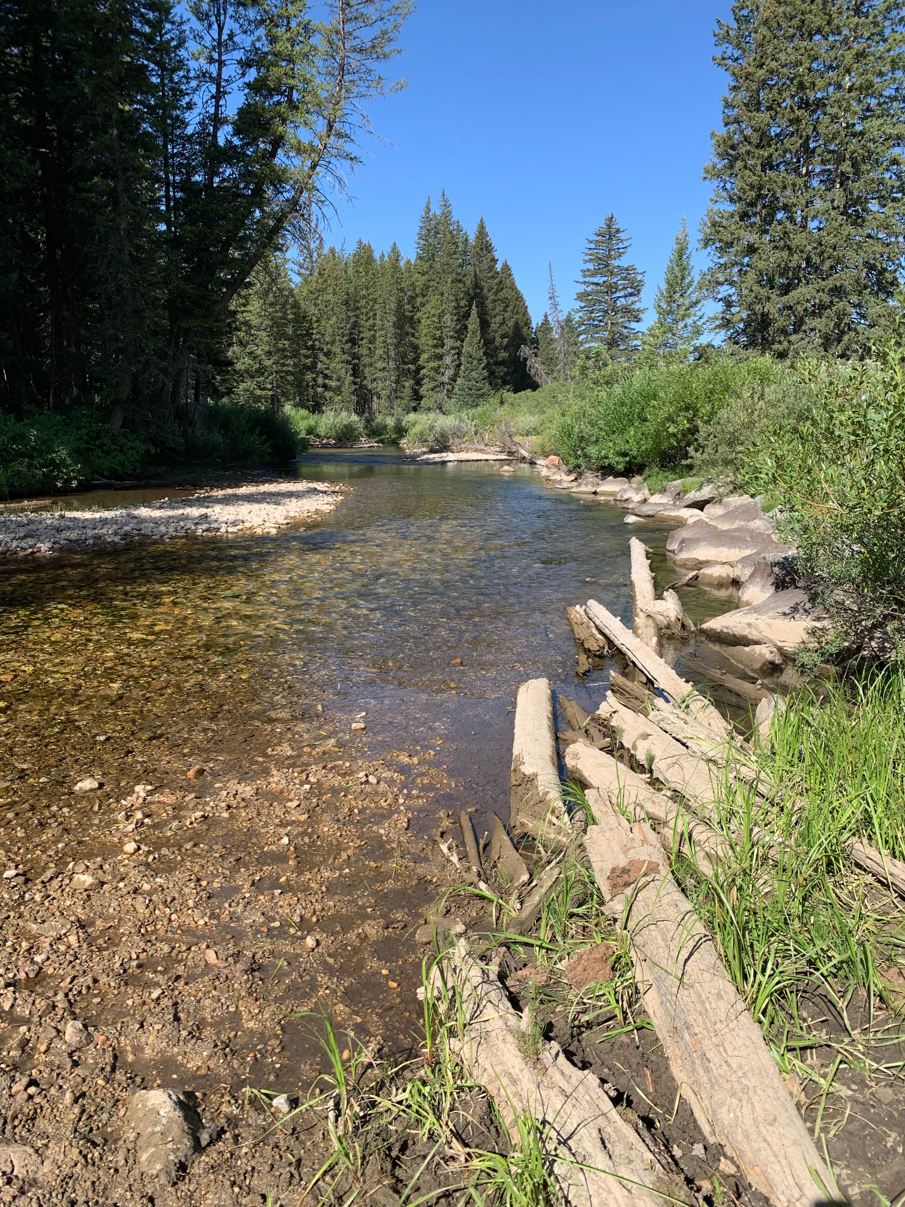 Camper-submitted photo at Teton Canyon Road Dispersed Camping near Jackson, WY