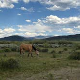 Review photo of Teton Range Resort by Beth B., July 16, 2025