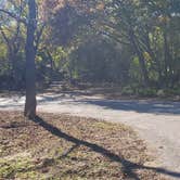 Review photo of Abilene State Park Campground by John R., November 22, 2023