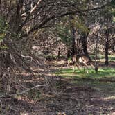 Review photo of Abilene State Park Campground by John R., November 22, 2023