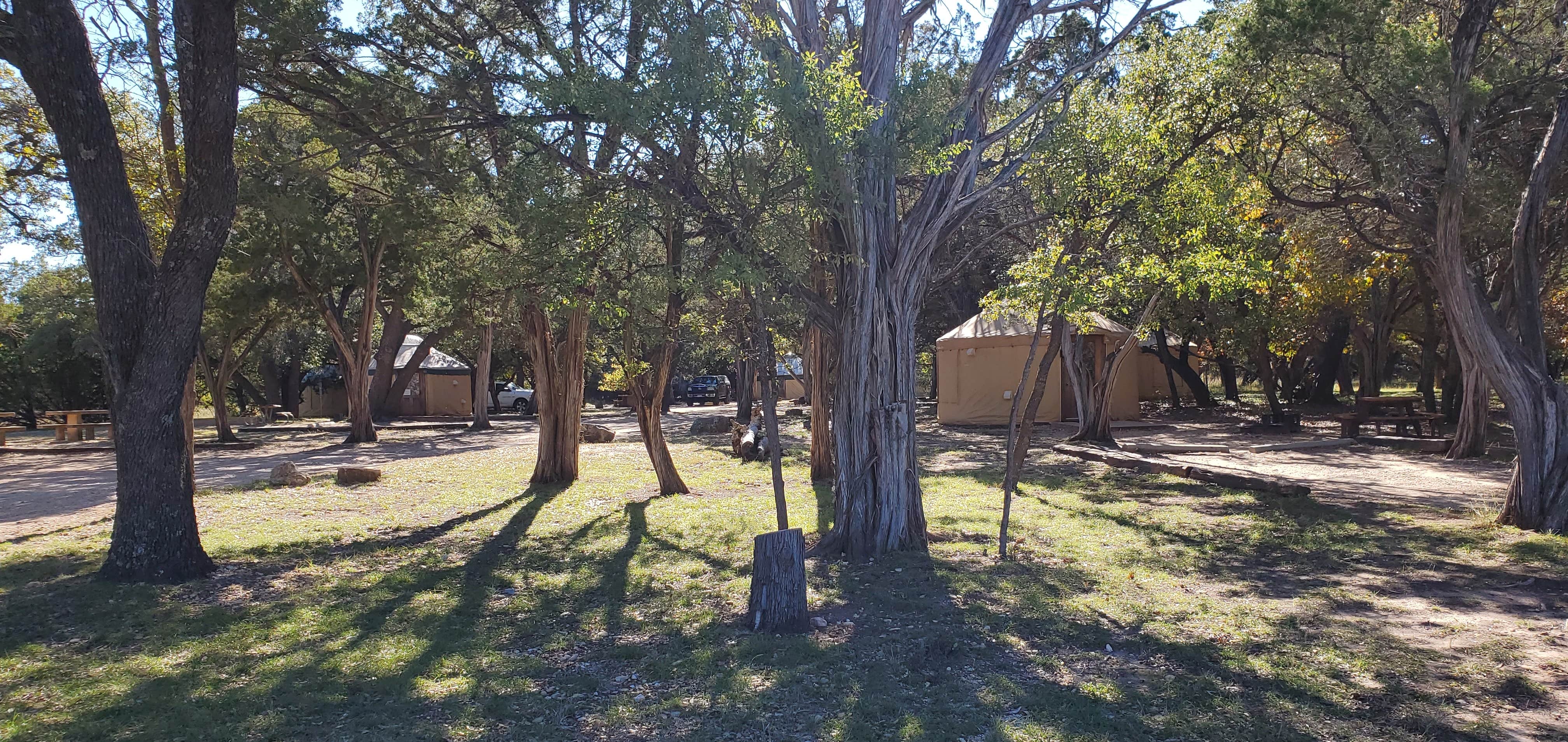 John R.'s photo at Abilene State Park Campground near Albany, TX