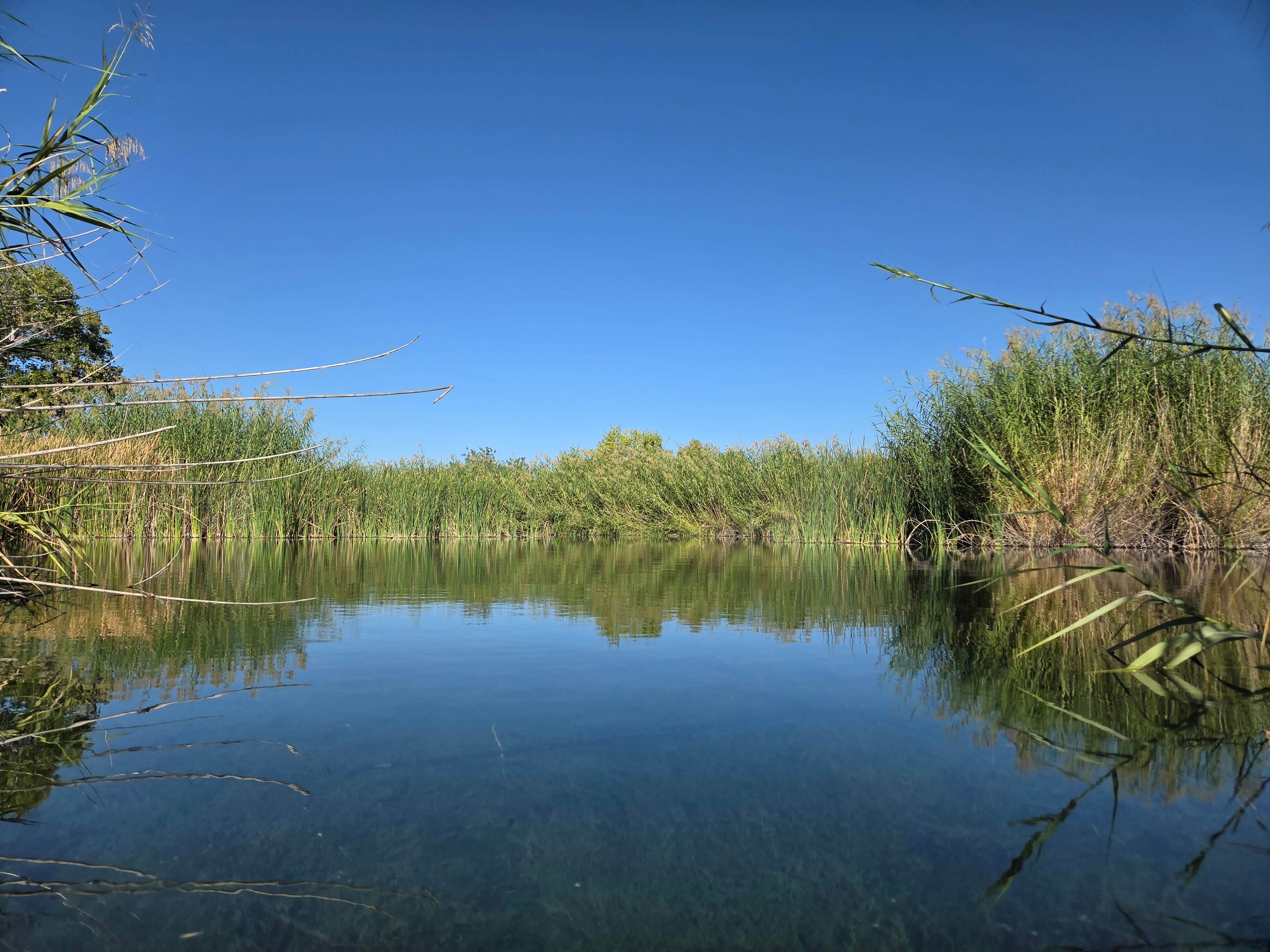 Camper-submitted photo at Balmorhea State Park Campground near Balmorhea, TX