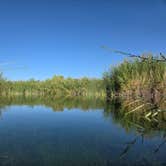 Review photo of Balmorhea State Park Campground by John R., October 22, 2025