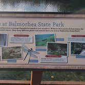 Review photo of Balmorhea State Park Campground by B D., July 19, 2026