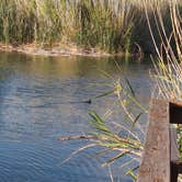 Review photo of Balmorhea State Park Campground by B D., July 19, 2026