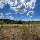 Review photo of Bastrop State Park Campground by Chelsea G., September 17, 2023