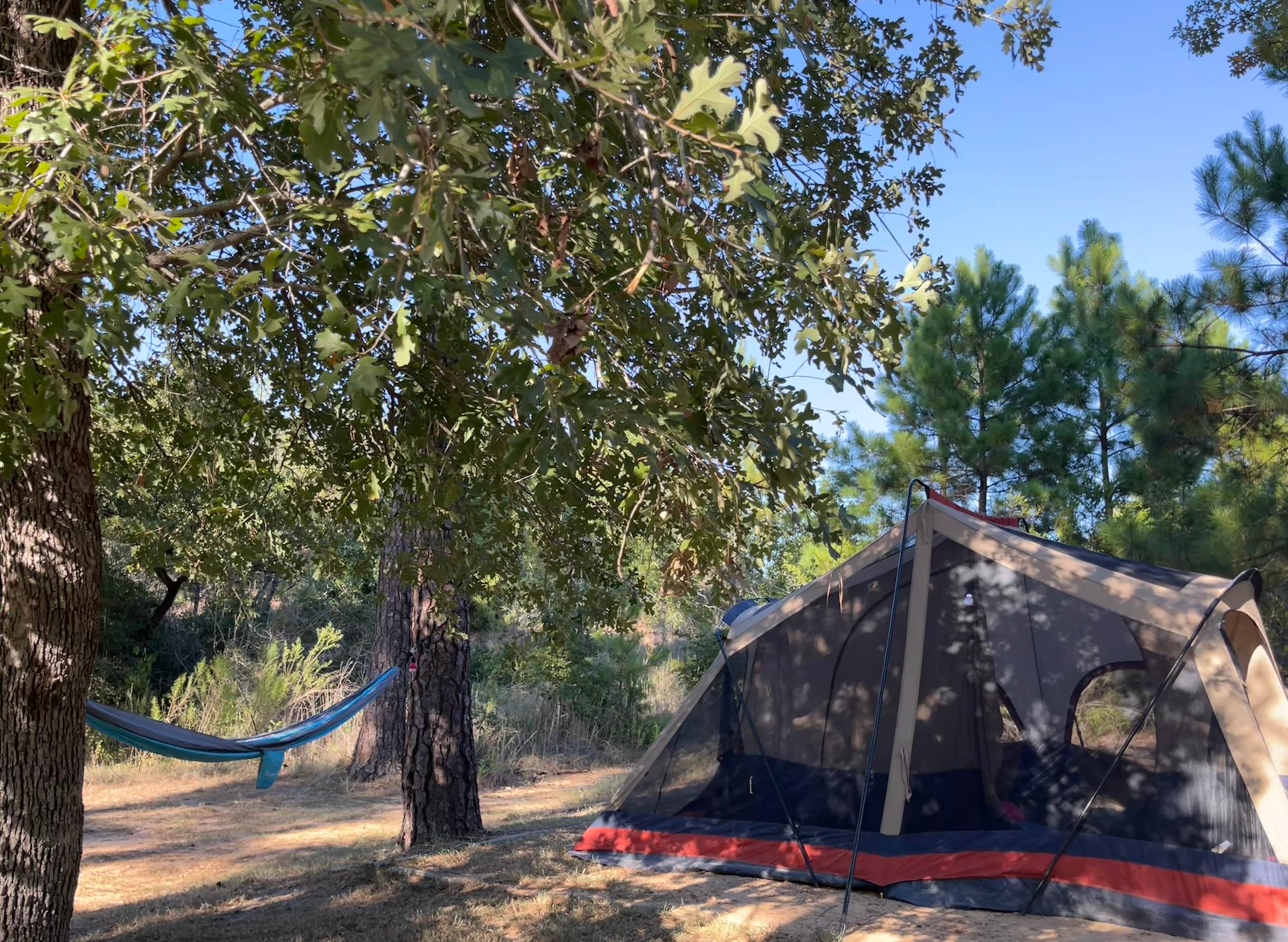 Chelsea G.'s photo at Bastrop State Park Campground near Elgin, TX