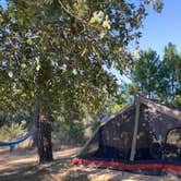 Review photo of Bastrop State Park Campground by Chelsea G., September 17, 2023