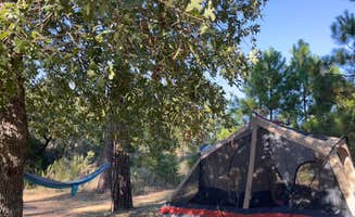 Chelsea G.'s photo at Bastrop State Park Campground near Giddings, TX